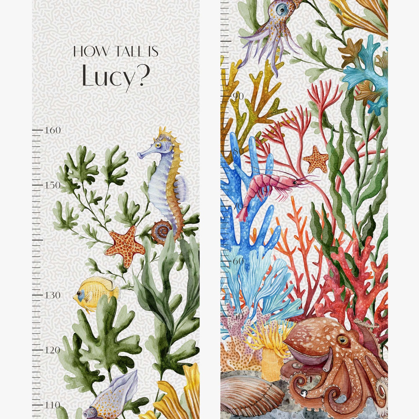 CORAL PERSONALISED HEIGHT CHART
