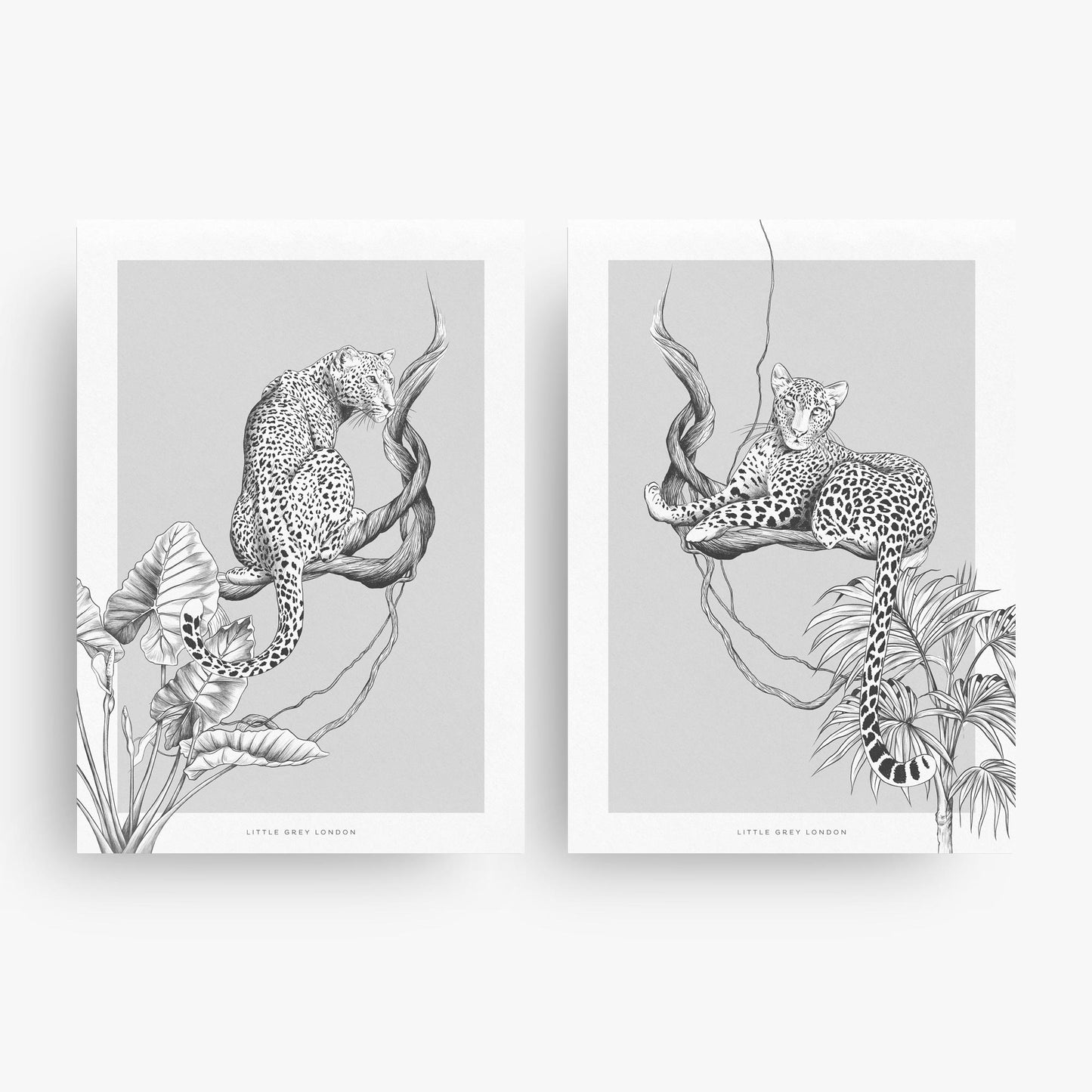 JUNGLE LEOPARD SET OF TWO ART PRINTS