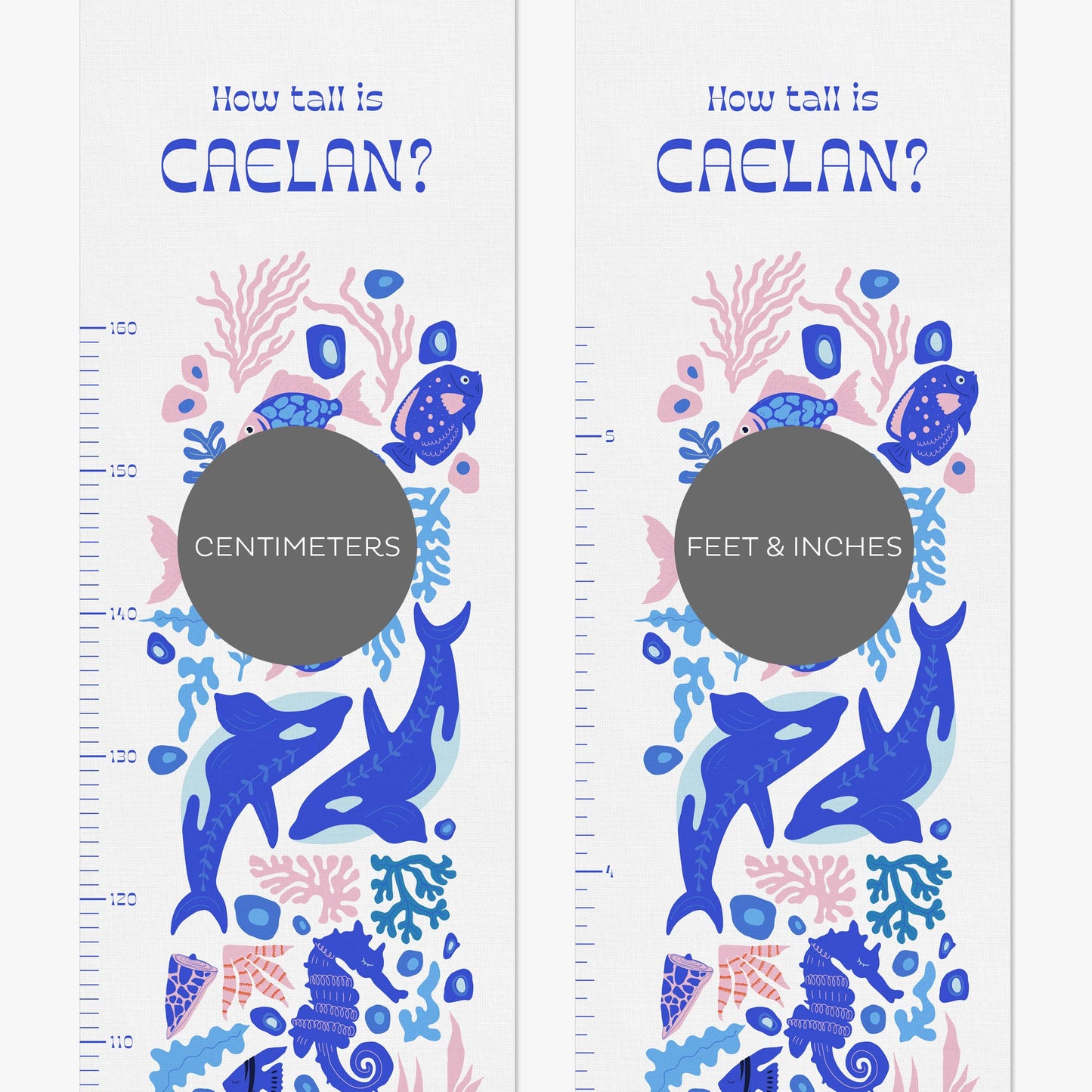 SEA WORLD PERSONALISED HEIGHT CHART