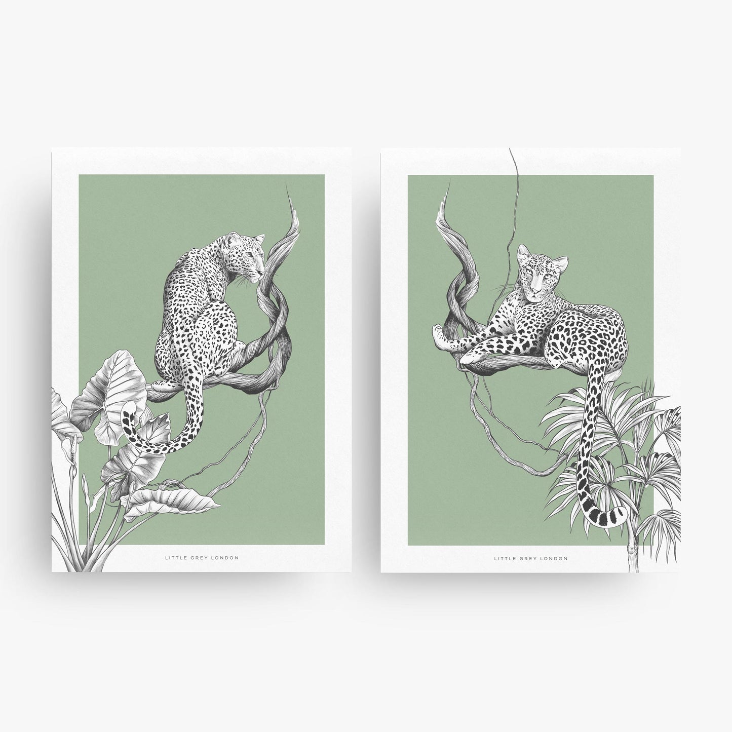 JUNGLE LEOPARD GREEN SET OF 2 ART PRINTS