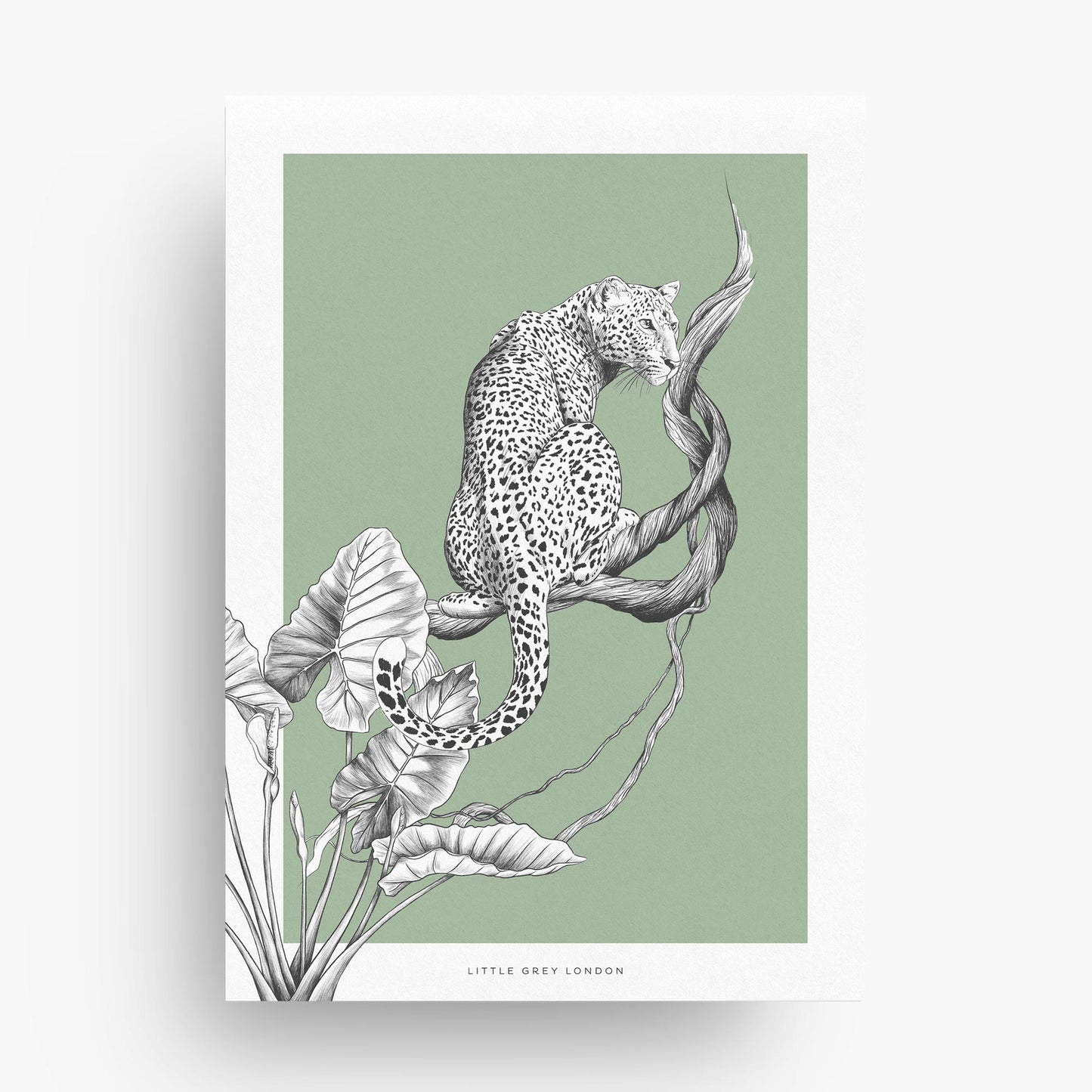 JUNGLE LEOPARD GREEN SET OF 2 ART PRINTS