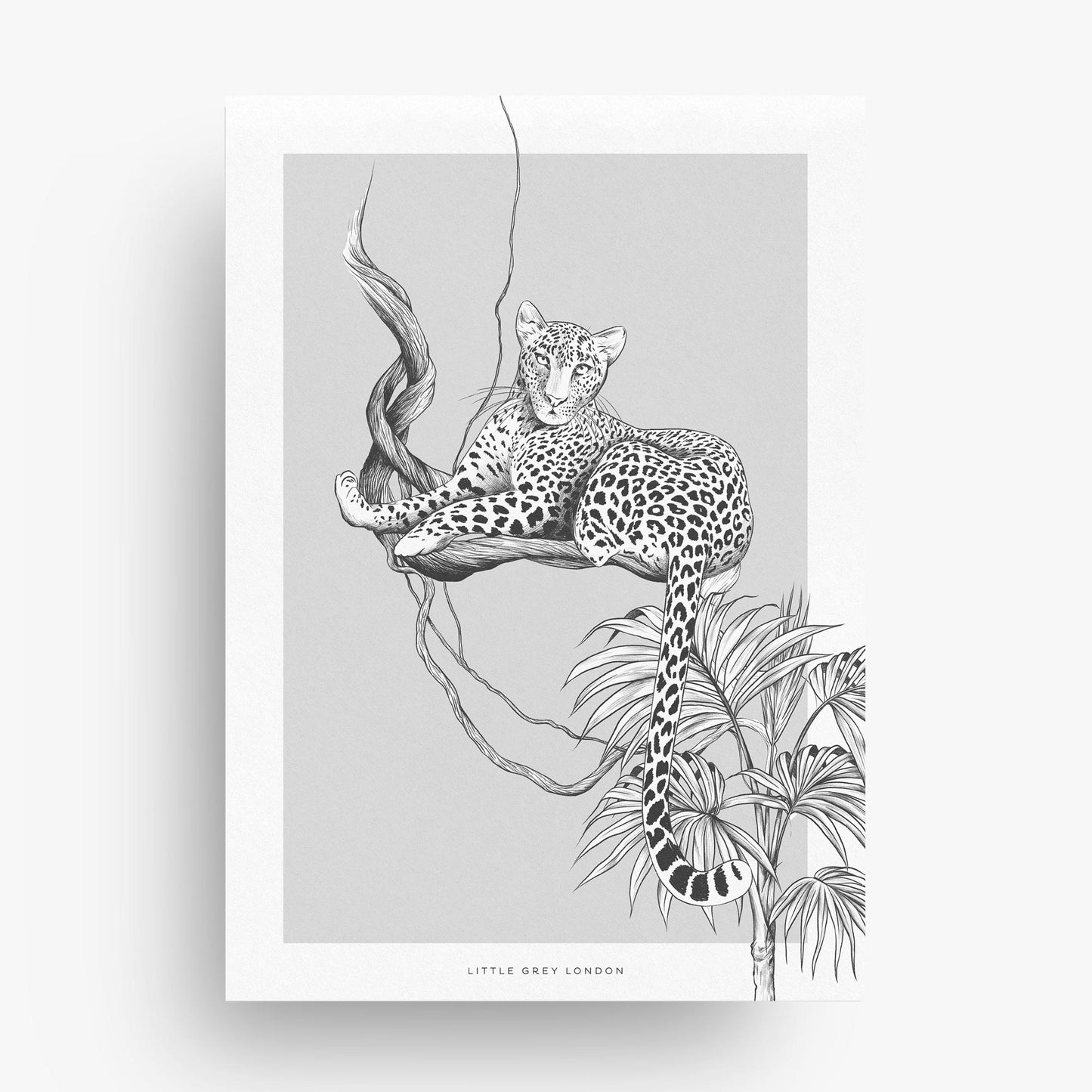 JUNGLE LEOPARD GREY SET OF 2 ART PRINTS