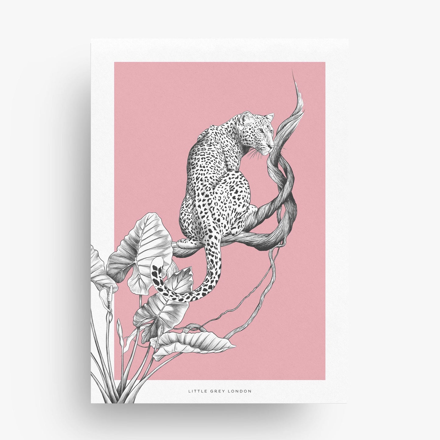 JUNGLE LEOPARD PINK SET OF 2 ART PRINTS