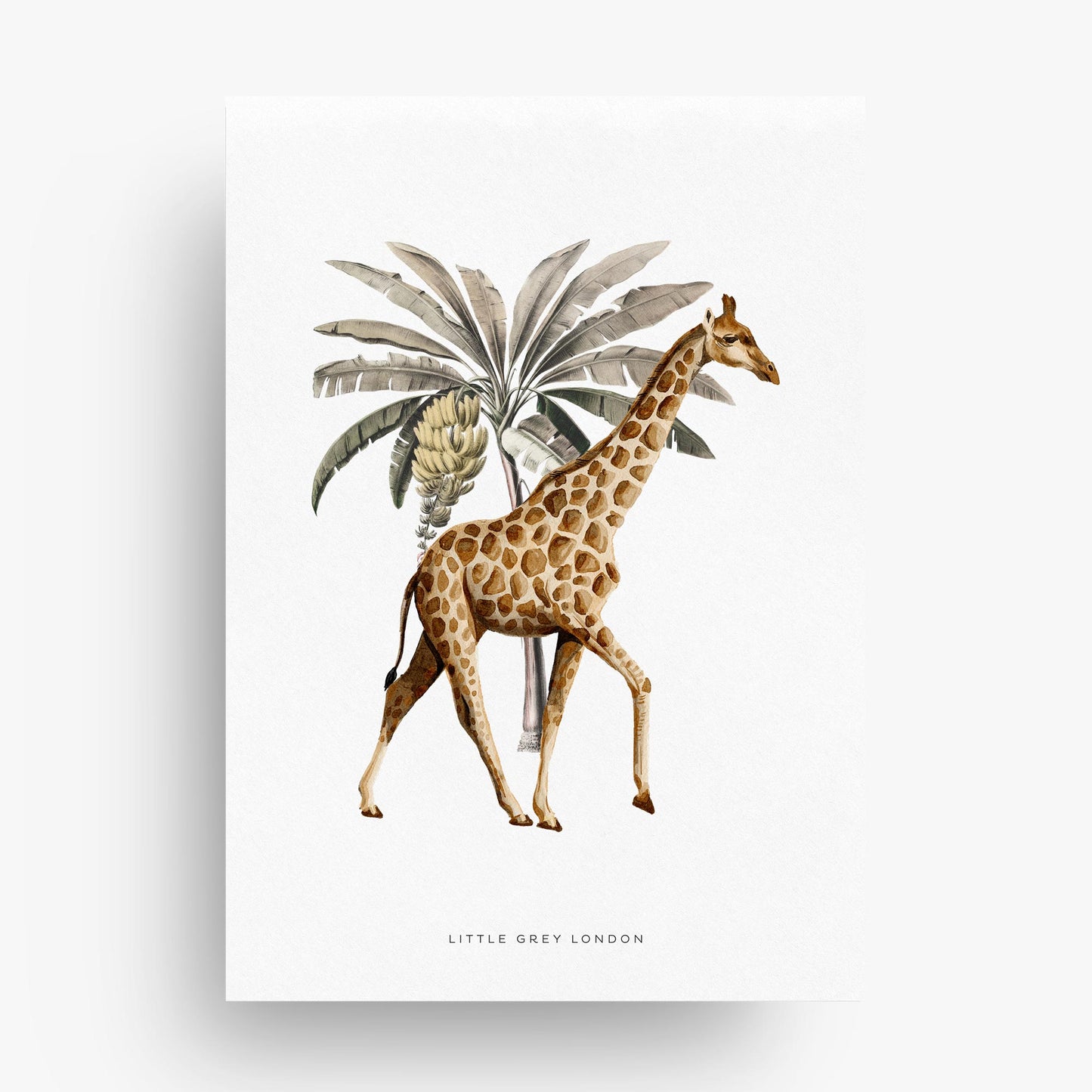 JUNGLE SAFARI SET OF THREE ART PRINTS