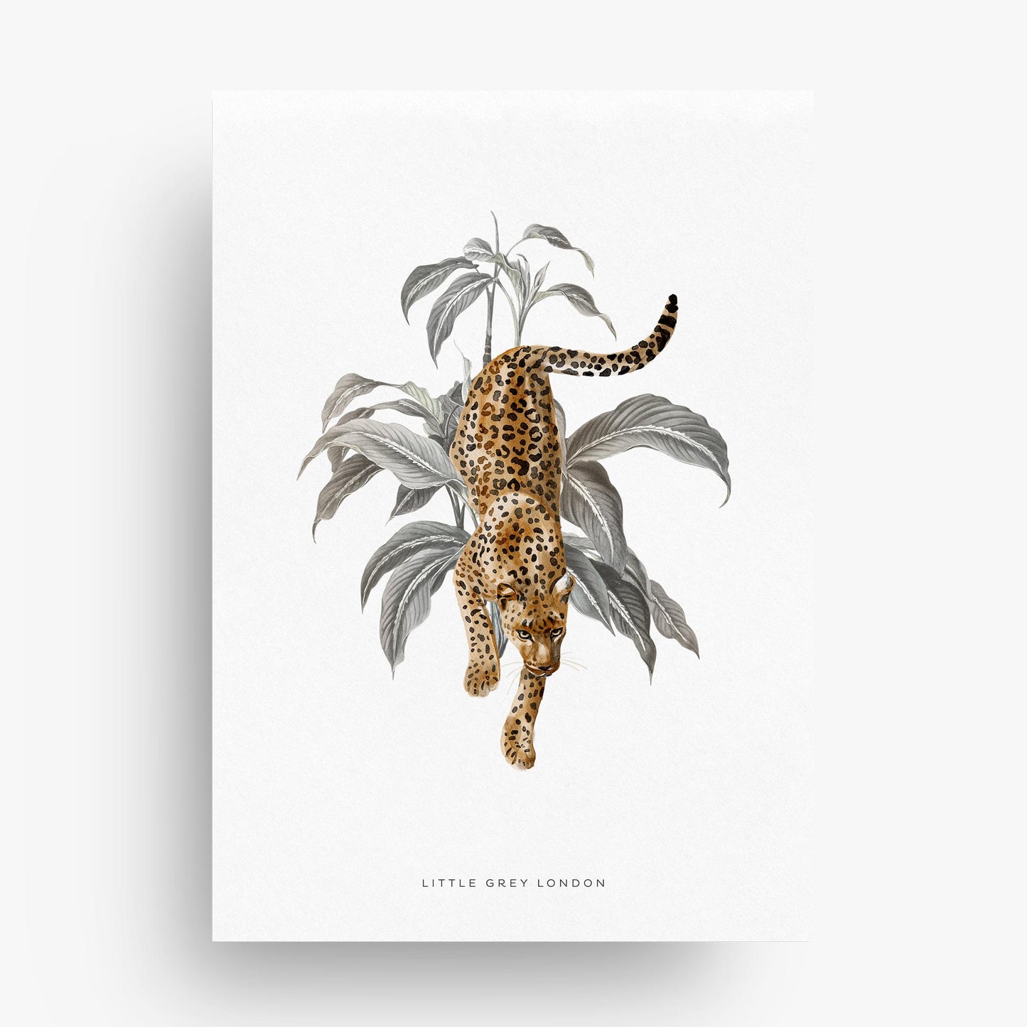 JUNGLE SAFARI SET OF THREE ART PRINTS