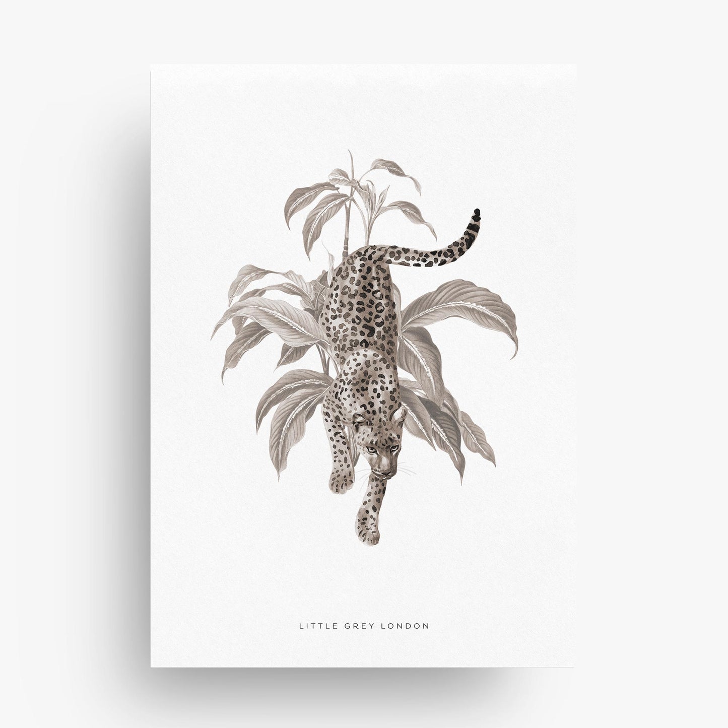 JUNGLE SAFARI NEUTRAL SET OF THREE ART PRINTS